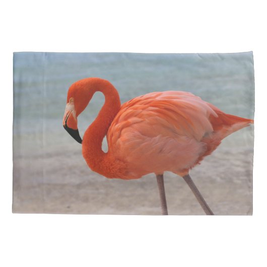 Housse D'oreillers Plages tropicales | Flamant rose des Caraïbes, Aru (Dos)