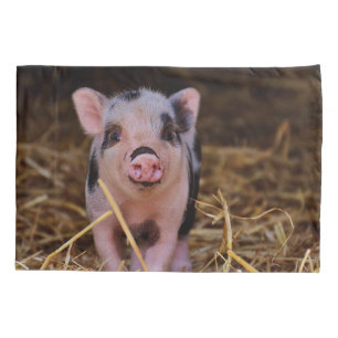 Housse D'oreillers Porc mignon doux