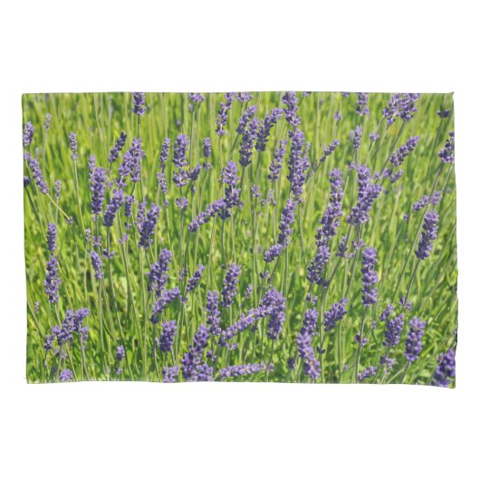 Housse D'oreillers prairie de fleurs de lavande violette (devant)