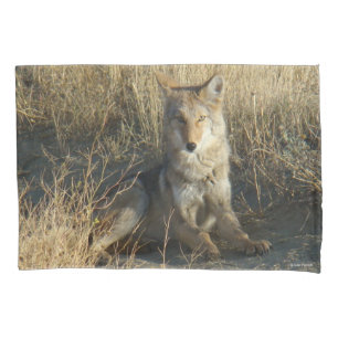 Housse D'oreillers R15 Coyote Laying