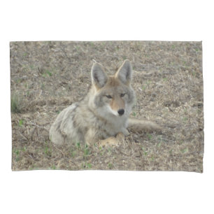 Housse D'oreillers R22 Coyote Laying