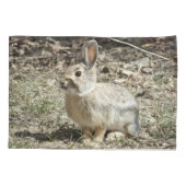 Housse D'oreillers R24 Coton-tail Rabbit (Dos)