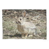 Housse D'oreillers R24 Coton-tail Rabbit (devant)