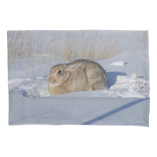 Housse D'oreillers R5 Lapin de coton en neige (devant)