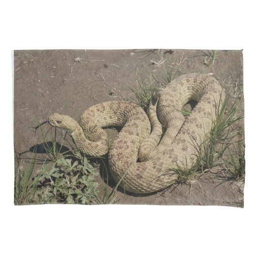 Housse D'oreillers R6 Prairie Rattlesnake (devant)