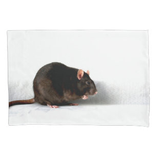 Housse D'oreillers Rat pccna