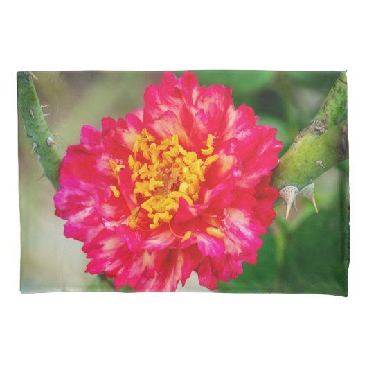 Housse D'oreillers Red rose flower (devant)