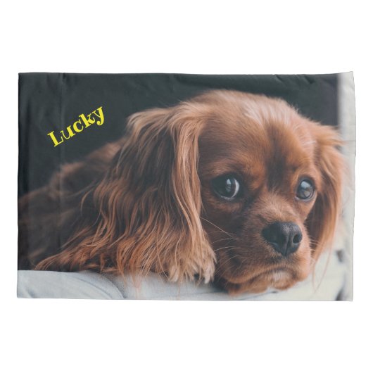 Housse D'oreillers Ruby Cavalier King Charles Spaniel Chien (Dos)