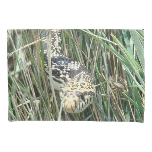 Housse D'oreillers Serpent à taureaux R4 dans l'herbe (devant)
