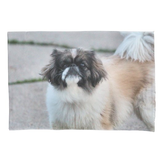 Housse D'oreillers Shih Tzu (devant)