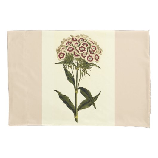 Housse D'oreillers Sweet William Floral Art Set Pillowcases (devant-gauche)
