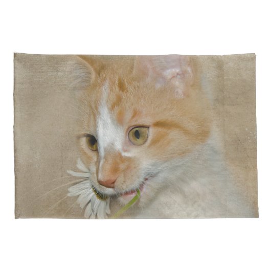 Housse D'oreillers Tabby Kitten avec une marguerite blanche (Dos-Droit)