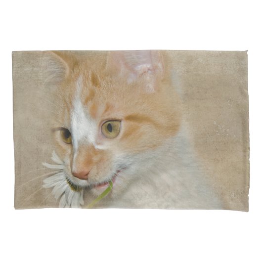 Housse D'oreillers Tabby Kitten avec une marguerite blanche (devant-gauche)