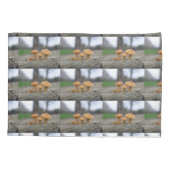 Housse D'oreillers Tabourets Toadstools Macro Pillowcase (Dos)