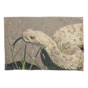 Housse D'oreillers Tête de serpent à sonnette de la prairie R8