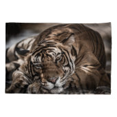 Housse D'oreillers Tigre de Ranthambore : gros plan. (Dos)