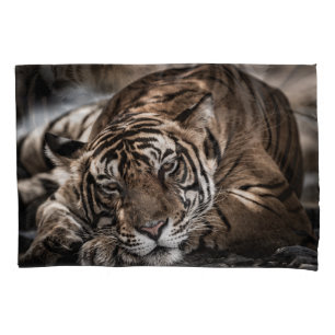 Housse D'oreillers Tigre de Ranthambore : gros plan.