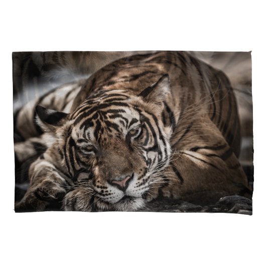 Housse D'oreillers Tigre de Ranthambore : gros plan. (devant)