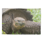 Housse D'oreillers Tortue géante (Dos)