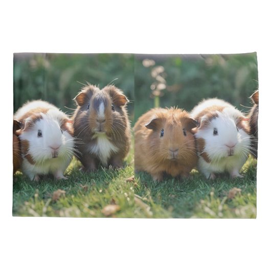 Housse D'oreillers Trois bébés cochons de Guinée, (Dos)