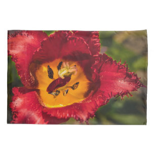Housse D'oreillers Tuliforme rouge