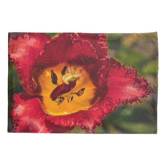 Housse D'oreillers Tuliforme rouge (Dos)