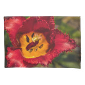 Housse D'oreillers Tuliforme rouge (devant)