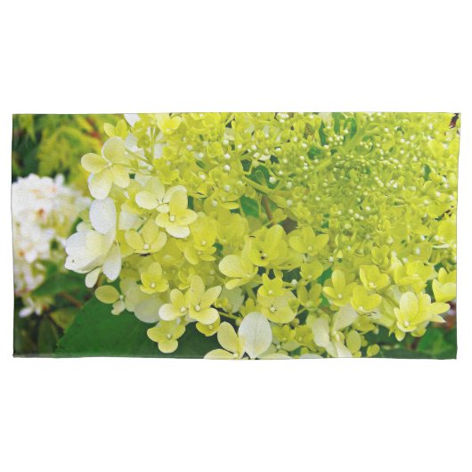 Housse D'oreillers Vert Chartreuse, Hydrangea Limelight, (devant-gauche)