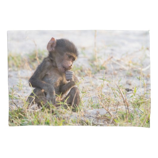 Housse D'oreillers Young Baboon (devant)