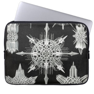 Housse Pour Ordinateur Portable Acanthophracta, Wunderstrahlinge Animal Aquatique