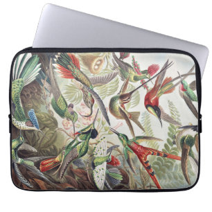 Housse Pour Ordinateur Portable Affiche vintage d'Ernst Haeckel représentant des c