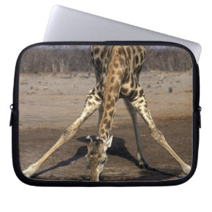Housse Pour Ordinateur Portable Afrique, Botswana, Parc national de Chobe, Girafe