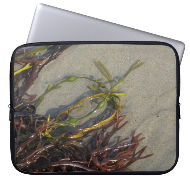 Housse Pour Ordinateur Portable Algue de plage d'océan (Devant)