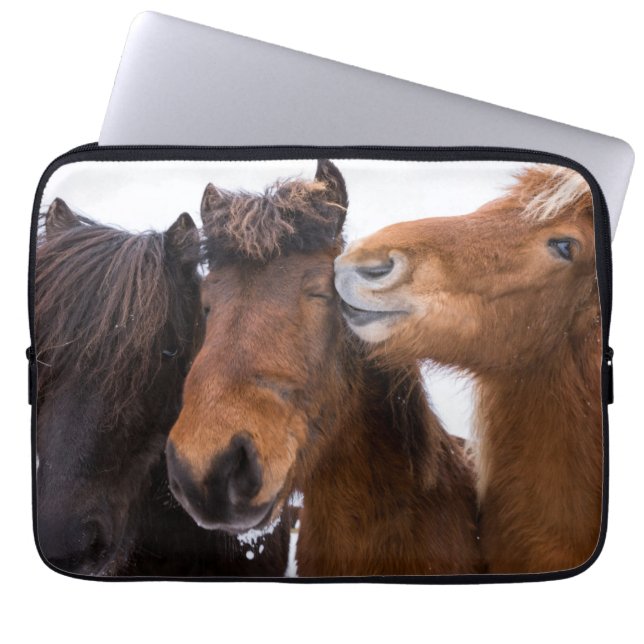 Housse Pour Ordinateur Portable Amis islandais du cheval, Islande (Devant)