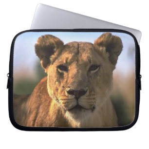 Housse Pour Ordinateur Portable Amoureux du lion Lionne femelle