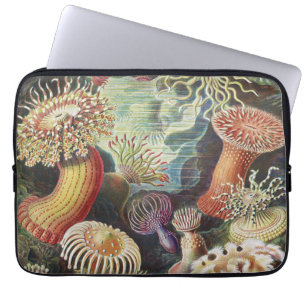 Housse Pour Ordinateur Portable Anémones de mer, Actiniae Seeanemonen Ernst Haecke