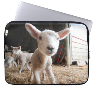 Housse Pour Ordinateur Portable Animaux de bébés cutest Agneau mignon dans une f