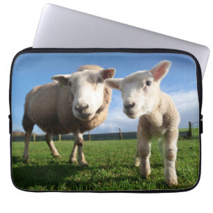 Housse Pour Ordinateur Portable Animaux de bébés cutest Agneau nouveau-né & mama