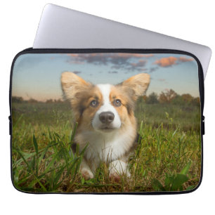 Housse Pour Ordinateur Portable Animaux de bébés cutest Corgi dans le nuage