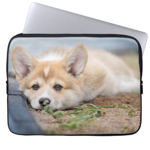 Housse Pour Ordinateur Portable Animaux de bébés cutest Corgi Laying in the Yard