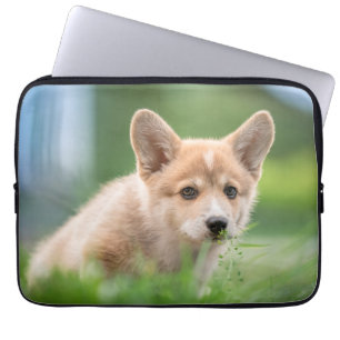 Housse Pour Ordinateur Portable Animaux de bébés cutest Corgi Puppy dans le tria