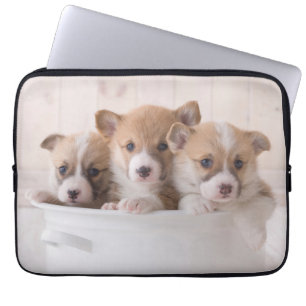 Housse Pour Ordinateur Portable Animaux de bébés cutest Cute Corgi Chipies dans