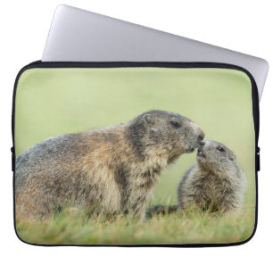 Housse Pour Ordinateur Portable Animaux de bébés cutest Famille des marmottes al