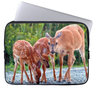 Housse Pour Ordinateur Portable Animaux de bébés cutest Fawn with Babies
