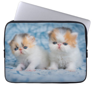 Housse Pour Ordinateur Portable Animaux de bébés cutest Persian Calico Kitten