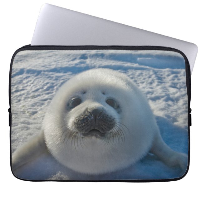 Housse Pour Ordinateur Portable Animaux de bébés cutest | Phoque bébé (Devant)