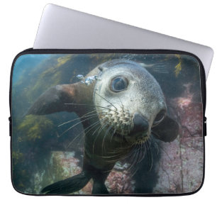 Housse Pour Ordinateur Portable Animaux de bébés cutest Phoque sous-marin Cape F