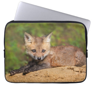 Housse Pour Ordinateur Portable Animaux de bébés cutest Red Fox Pup