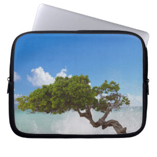 Housse Pour Ordinateur Portable Arbre Divi Divi, Eagle Beach, Aruba, Caraïbes