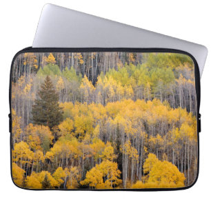 Housse Pour Ordinateur Portable Arbres d'Aspen White River National Forest